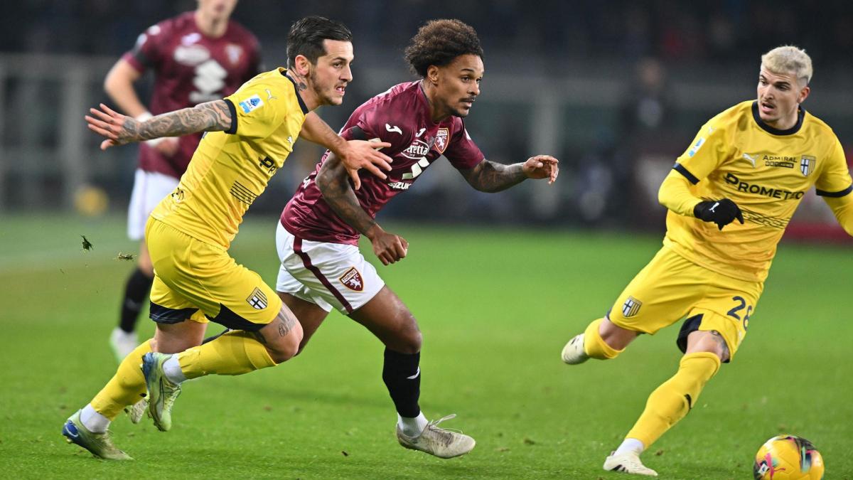 Transfer-News