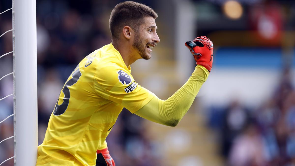 Letzte Transfernews Tottenham Hotspur