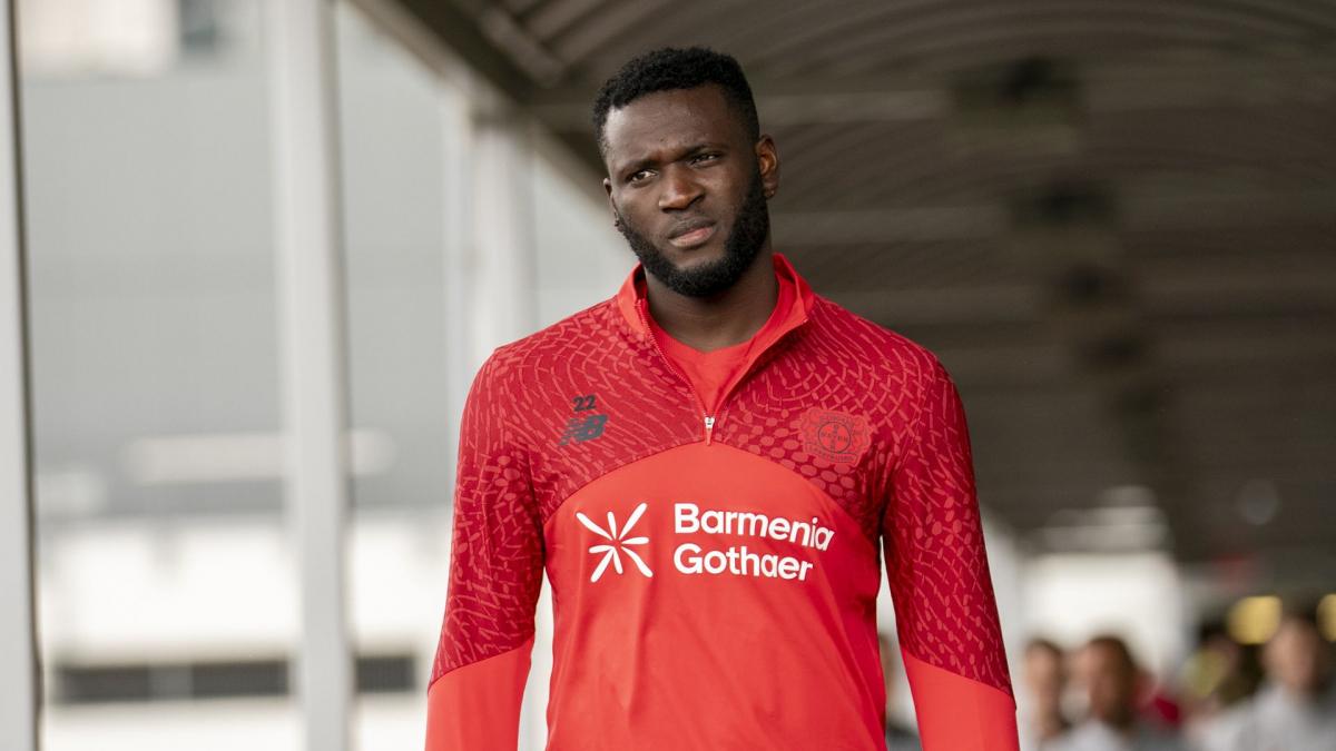 Transfer-News Bayer 04 Leverkusen