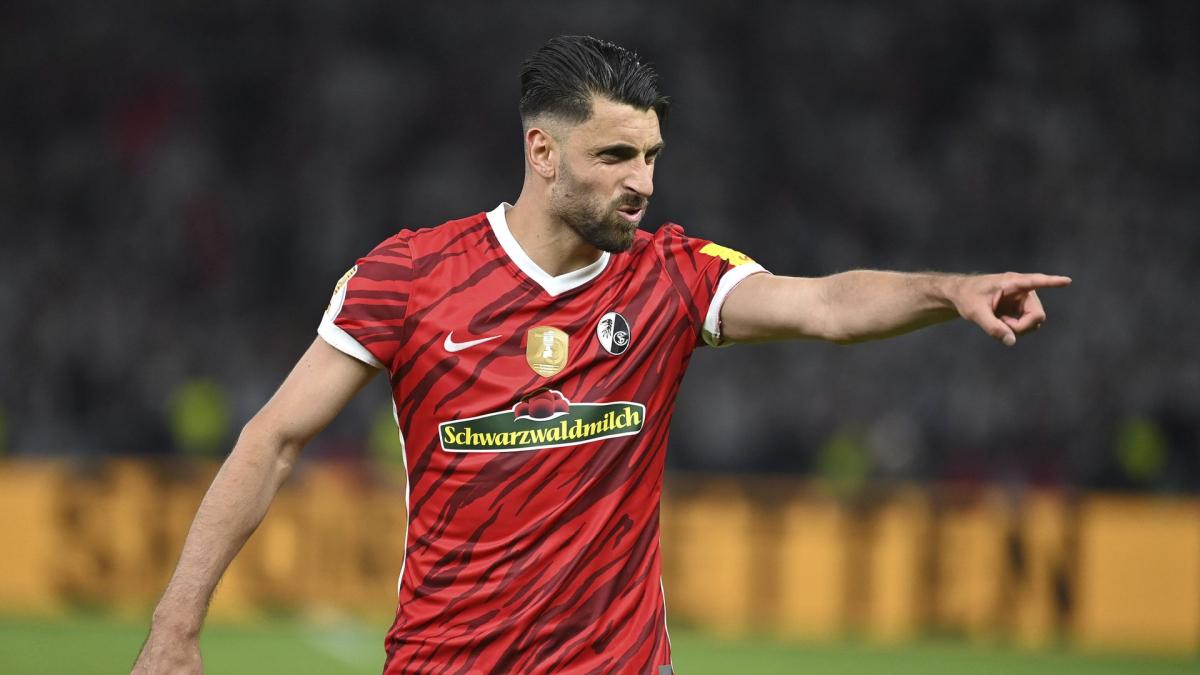 Grifo extends in Freiburg