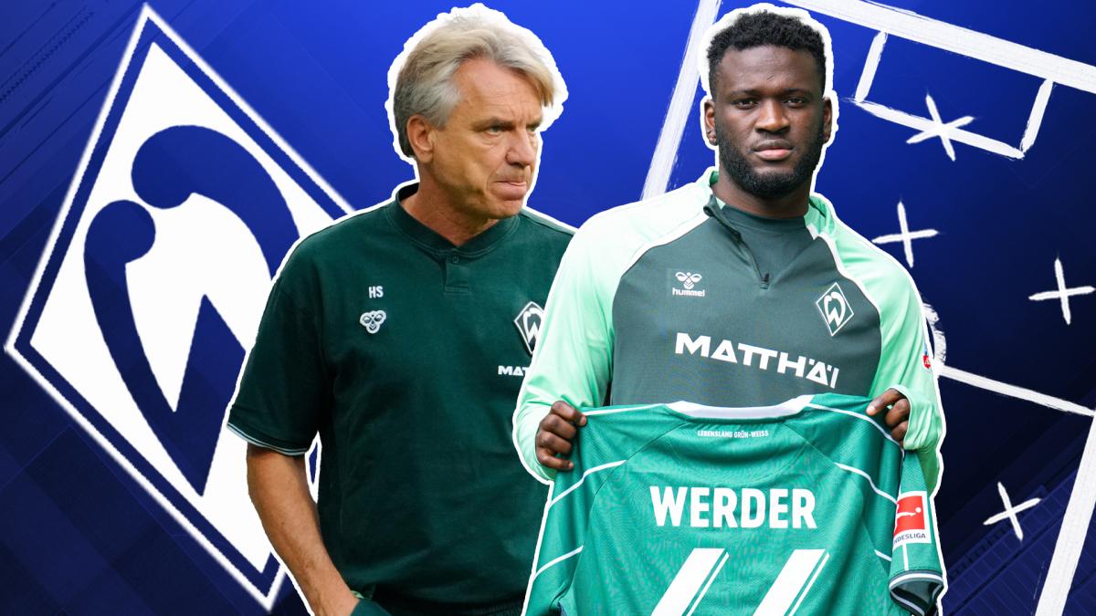 Transfer-News Bayer 04 Leverkusen