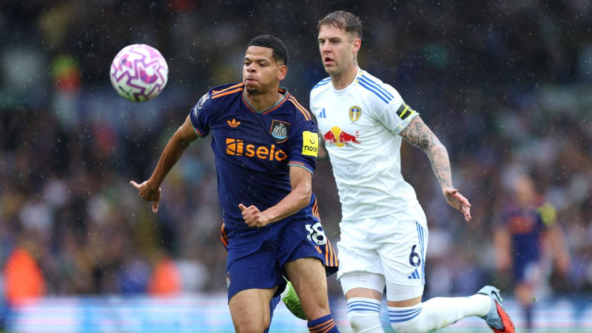 Transfer-News