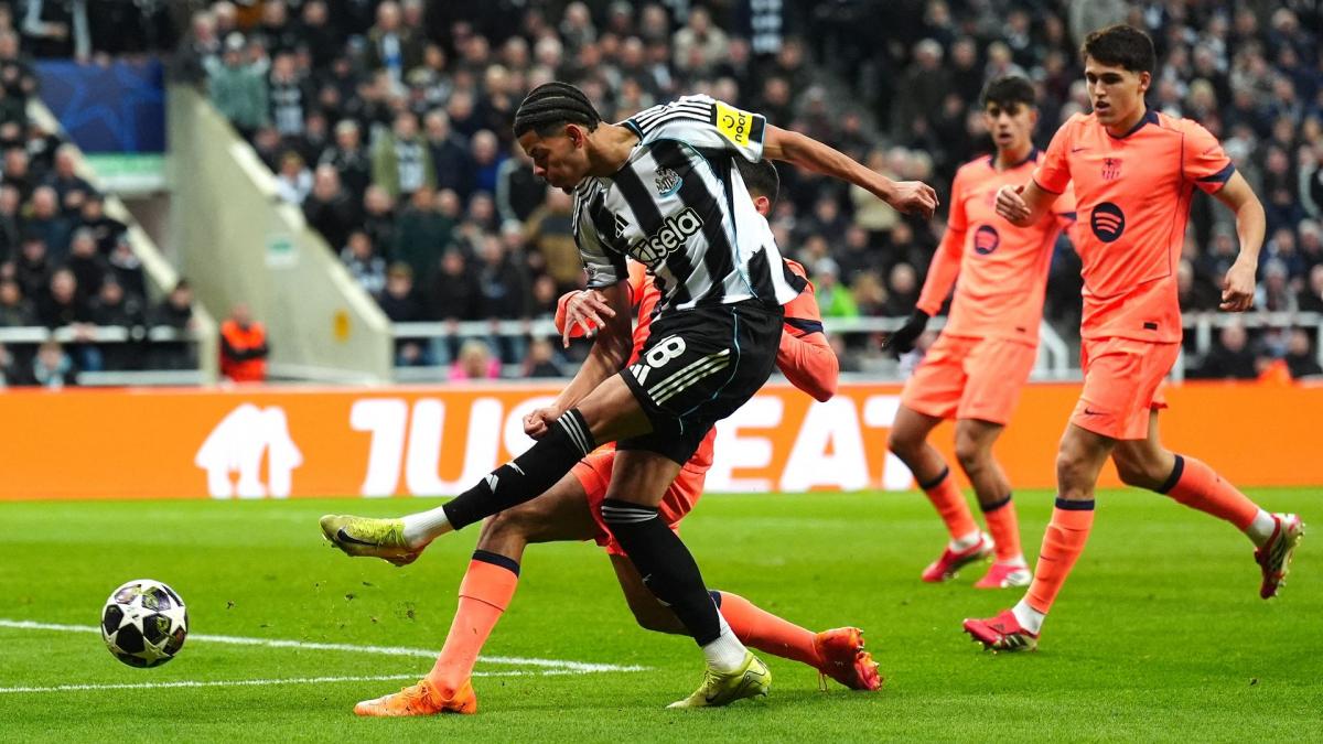 Transfer-News