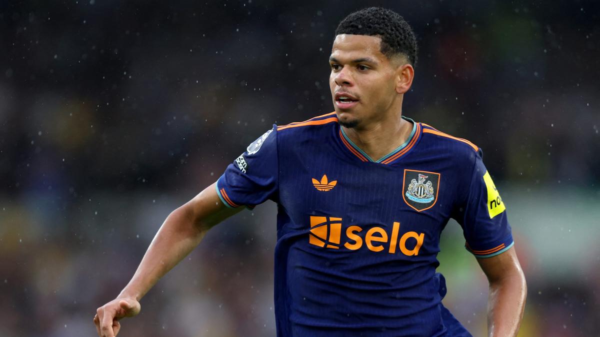 Letzte Transfernews Eintracht Frankfurt