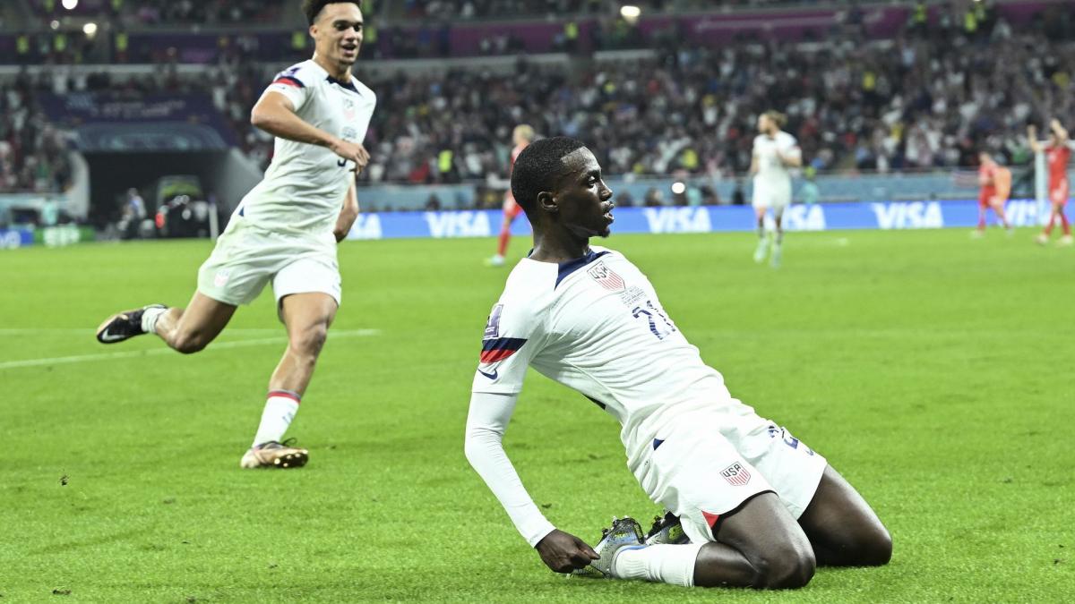 Letzte Transfernews Lille