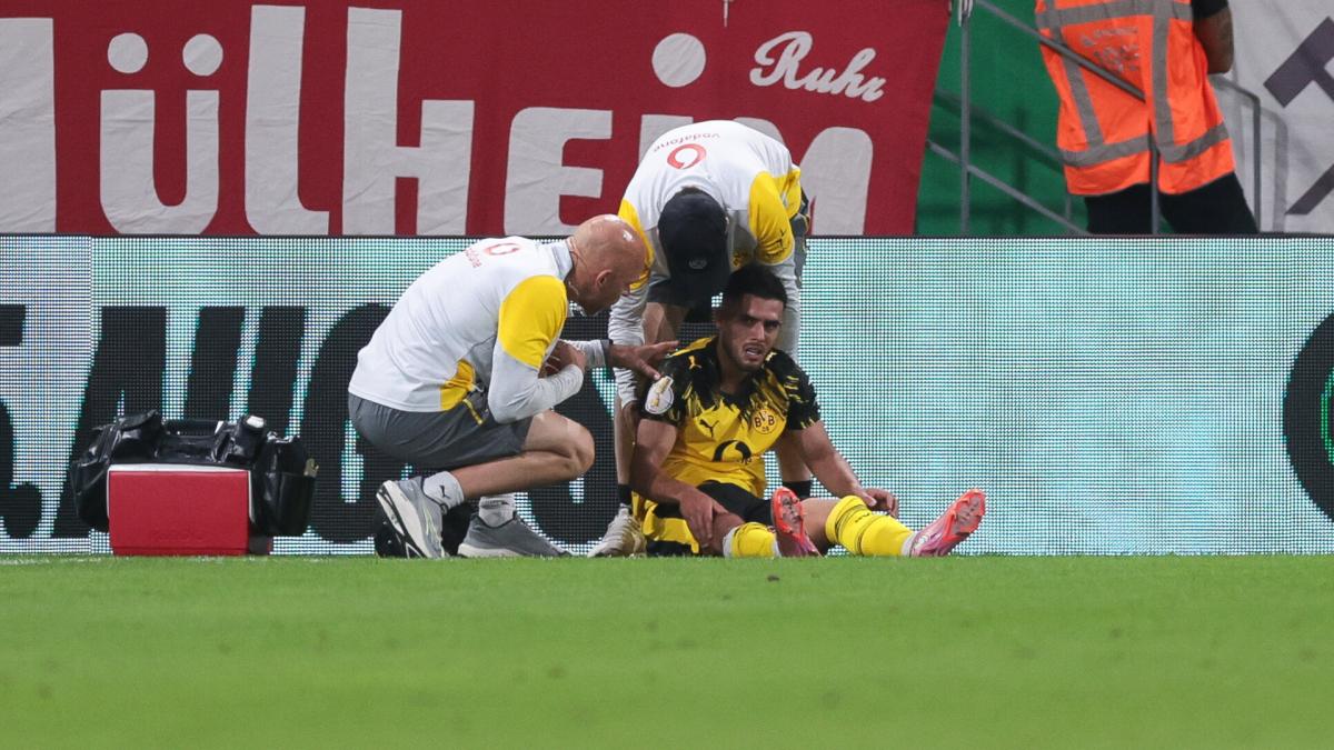 Letzte Transfernews Borussia Dortmund