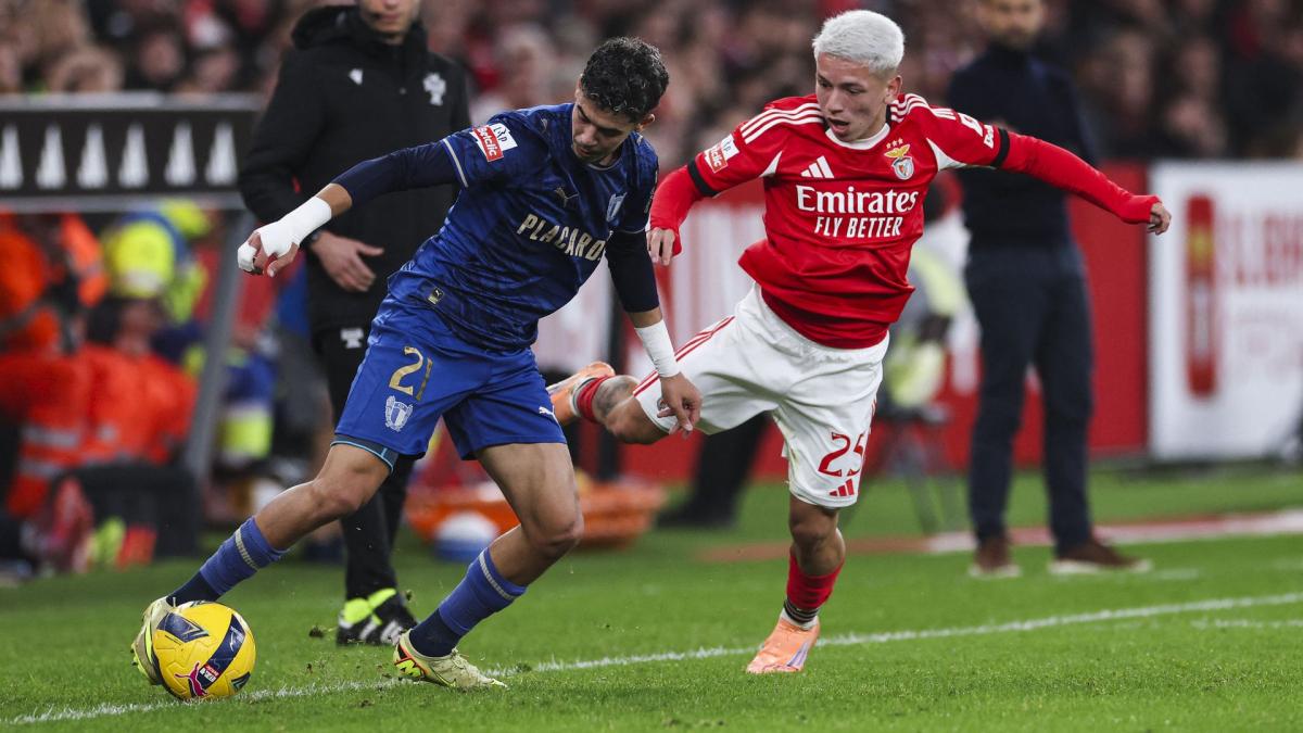 Transfer-News VfL Wolfsburg