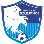 Büyükşehir Belediye Erzurum Spor Kulübü