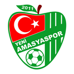 Yeni Amasya Spor Kulübü