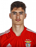 António João Pereira Albuquerque Tavares Silva