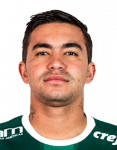 Carlos Eduardo de Lima Junior