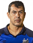 Fábio Luiz Carille de Araujo