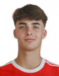 Gustavo Gabriel Santos Ferreira