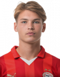 Joël van den Berg