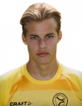 Joël van der Wilt