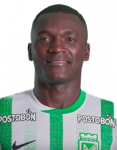 Kevin Stiven Viveros Rodallega