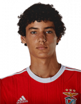 Rodrigo Lopes Figueiredo Pires