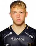 Sondre Auklend
