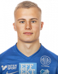 Erik Viktor Bergh