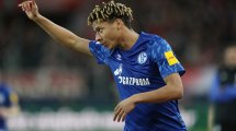 Sechs auslaufende Verträge: So plant Schalke