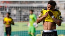 Erling Haaland Borussia Dortmund Alter Position Grosse Gewicht