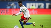 HSV: Bundesliga-Anfragen für Alidou