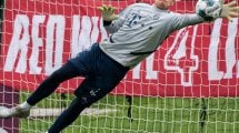 Nürnberg schnappt sich Früchtl
