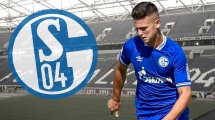 Calhanoglu wird Schalke-Profi