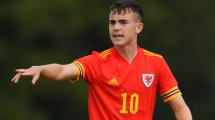 Chelsea: 33 Millionen für Harris