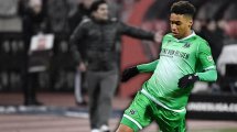 Tausch-Idee: Maina nach Köln?