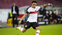 VfB-Quartett fällt aus