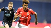 Fix: Benfica-Juwel Fernandes zu Tottenham
