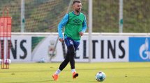 Schneider knallhart: Schalke löst Vertrag mit Ibisevic auf