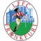 FFC Frankfurt