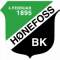 Honefoss BK