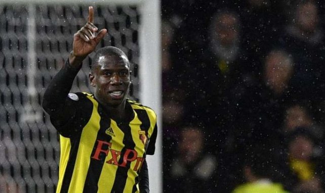 Abdoulaye Doucouré bejubelt ein Tor des FC Watford