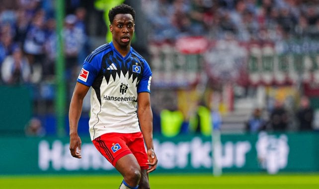 HSV macht ein Schnäppchen 