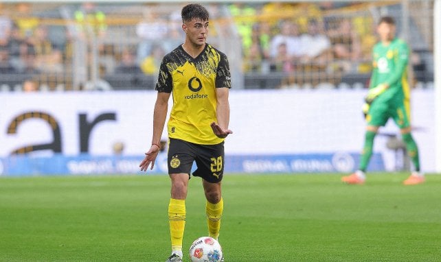 Anselmino sucht Anspielstationen