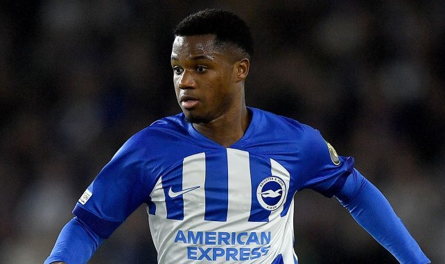 Ansu Fati im Trikon von Brighton & Hove Albion