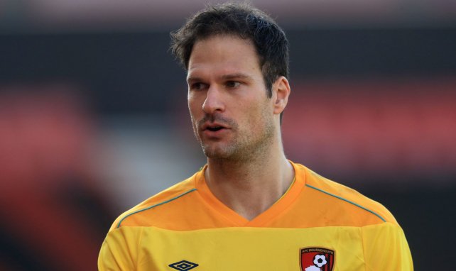 Begovic geht zu Everton