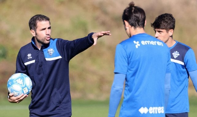 Cesc Fàbregas im Training