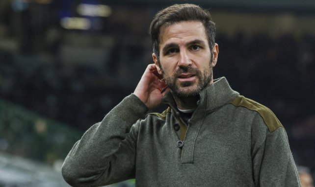 Cesc Fabregas steht seit dieser Saison an der Seitenlinie bei Como 1907