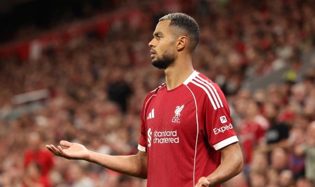 Cody Gakpo für Liverpool im Einsatz