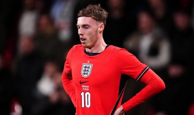 170 Millionen: Irres Bayern-Gerücht um Palmer