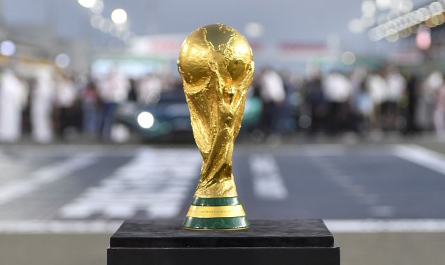 Der WM-Pokal