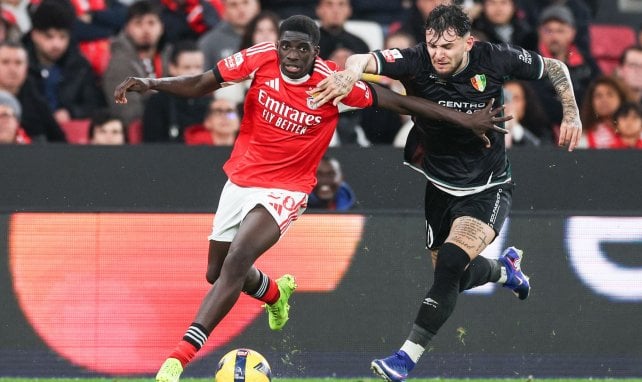 Benfica-Juwel Banjaqui vor 30-Millionen-Wechsel?