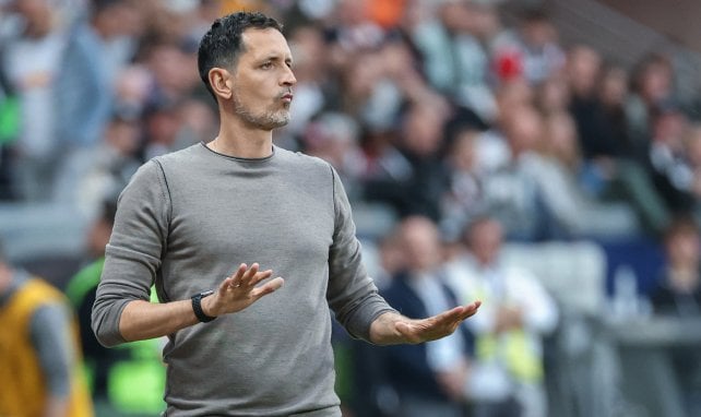 Dino Toppmöller kämpft mit Eintracht Frankfurt um die Teilnahme an der Champions League