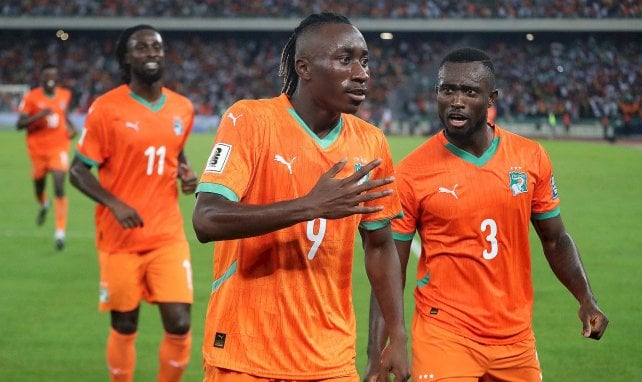 Afrika-Cup: Elfenbeinküste nominiert Bundesliga-Duo