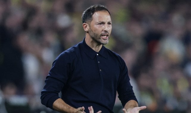 Polanski-Erbe: Zwei Favoriten in Gladbach 
