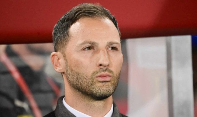 Domenico Tedesco auf der Trainerbank der belgischen Nationalmannschaft